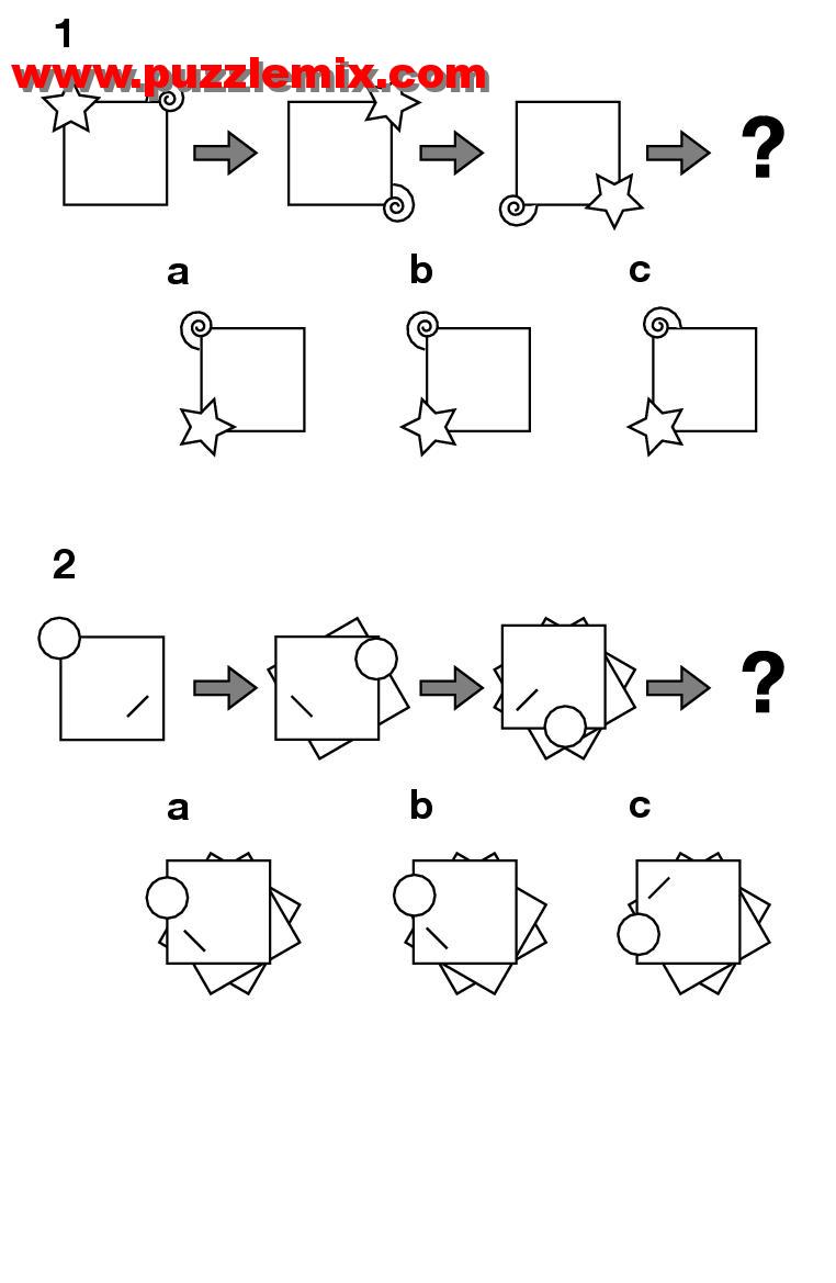 Visual Proessing Puzzle puzzlemix.com: Gareth Moore - International Puzzle Supplier
